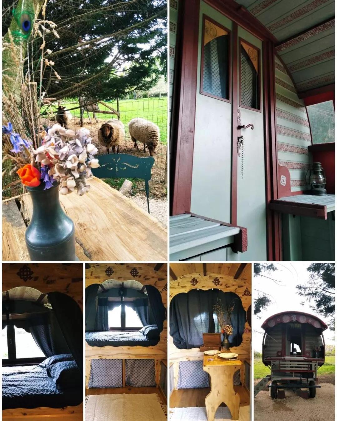 Roulotte Irlandaise Polly Hotel Saint-Vincent-en-Bresse Exterior foto